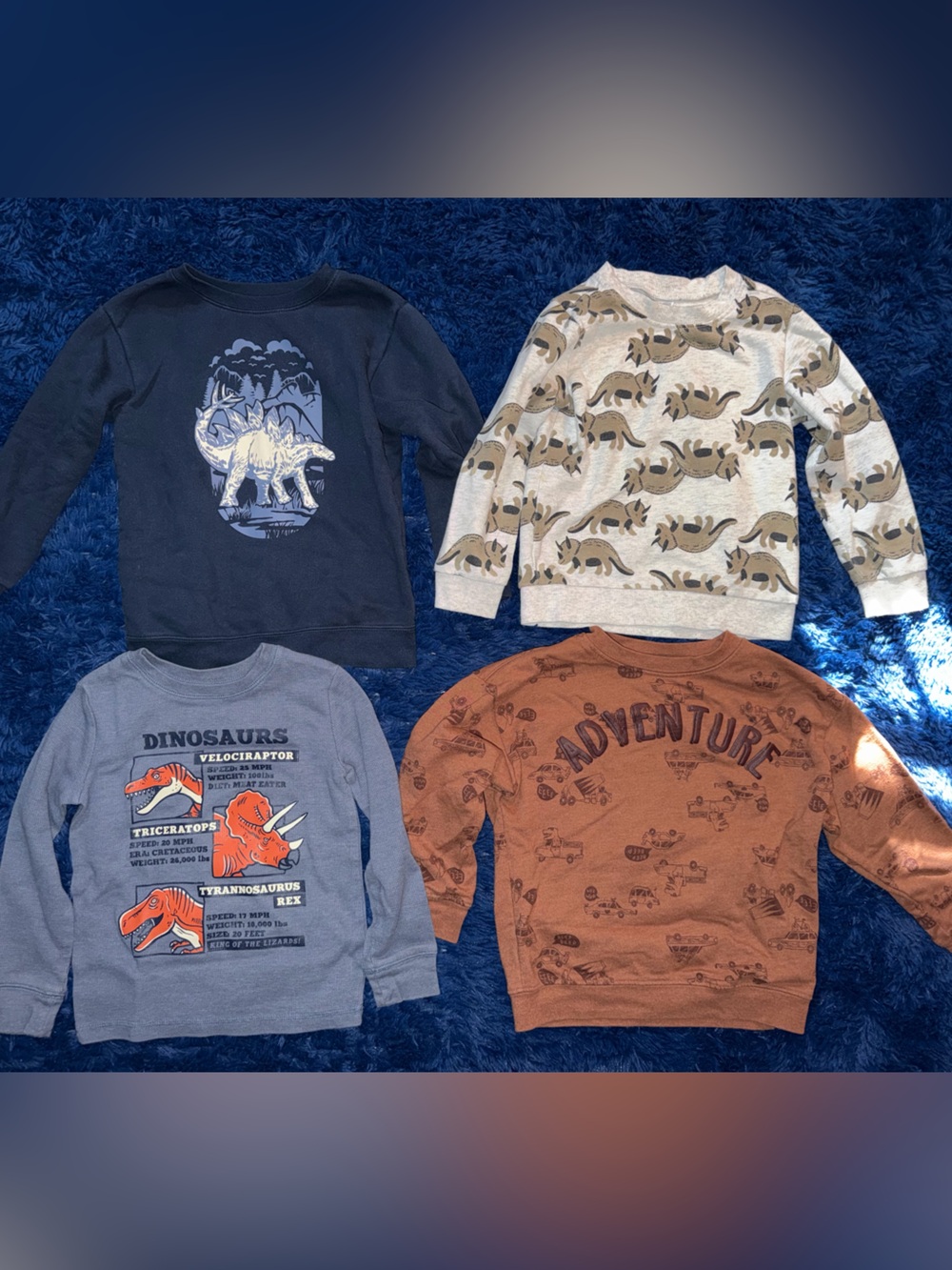 Boys dinosaur sweatshirt bundle 5T